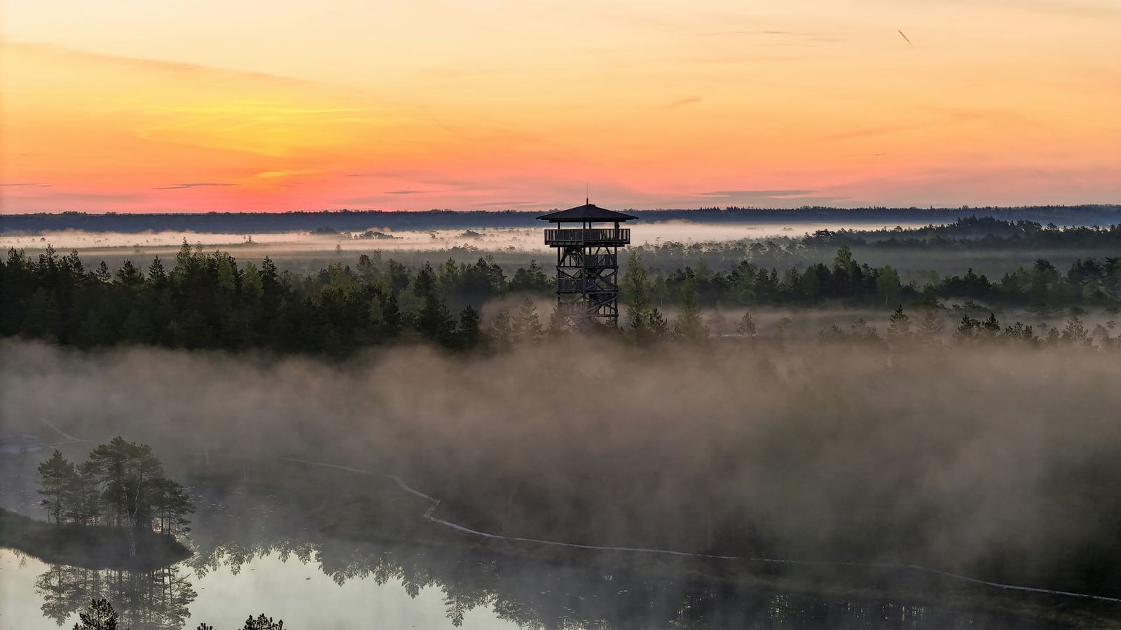A wooden watchtower standing above low fog over bog forest at dawn, the sky coral and amber along the horizon.